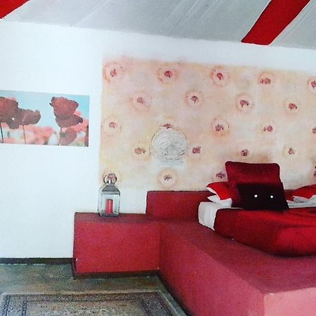 Gecko Nature Lodge Home Of Swahili Divers The Best Dive Center And Famous Gecko Restaurant Verani エクステリア 写真