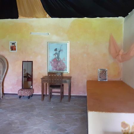 Gecko Nature Lodge Home Of Swahili Divers The Best Dive Center And Famous Gecko Restaurant Verani エクステリア 写真