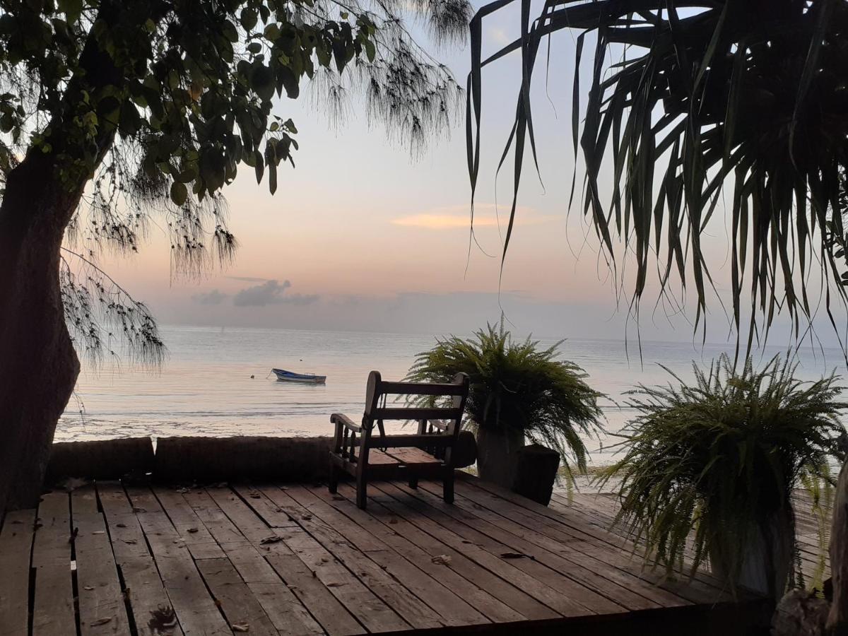 Gecko Nature Lodge Home Of Swahili Divers The Best Dive Center And Famous Gecko Restaurant Verani エクステリア 写真