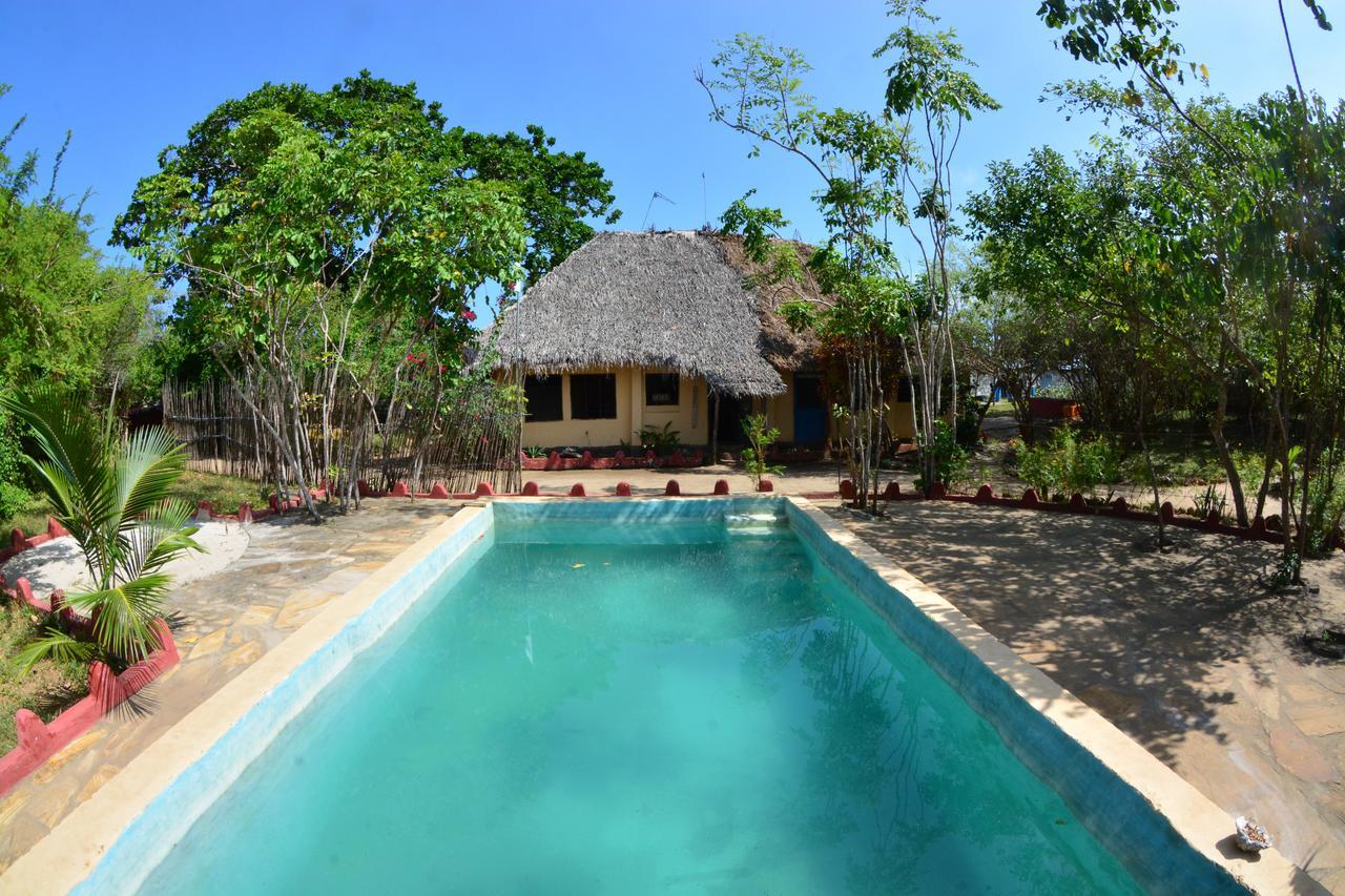 Gecko Nature Lodge Home Of Swahili Divers The Best Dive Center And Famous Gecko Restaurant Verani エクステリア 写真