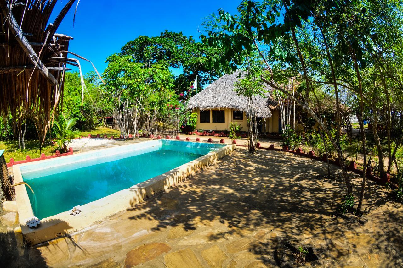 Gecko Nature Lodge Home Of Swahili Divers The Best Dive Center And Famous Gecko Restaurant Verani エクステリア 写真