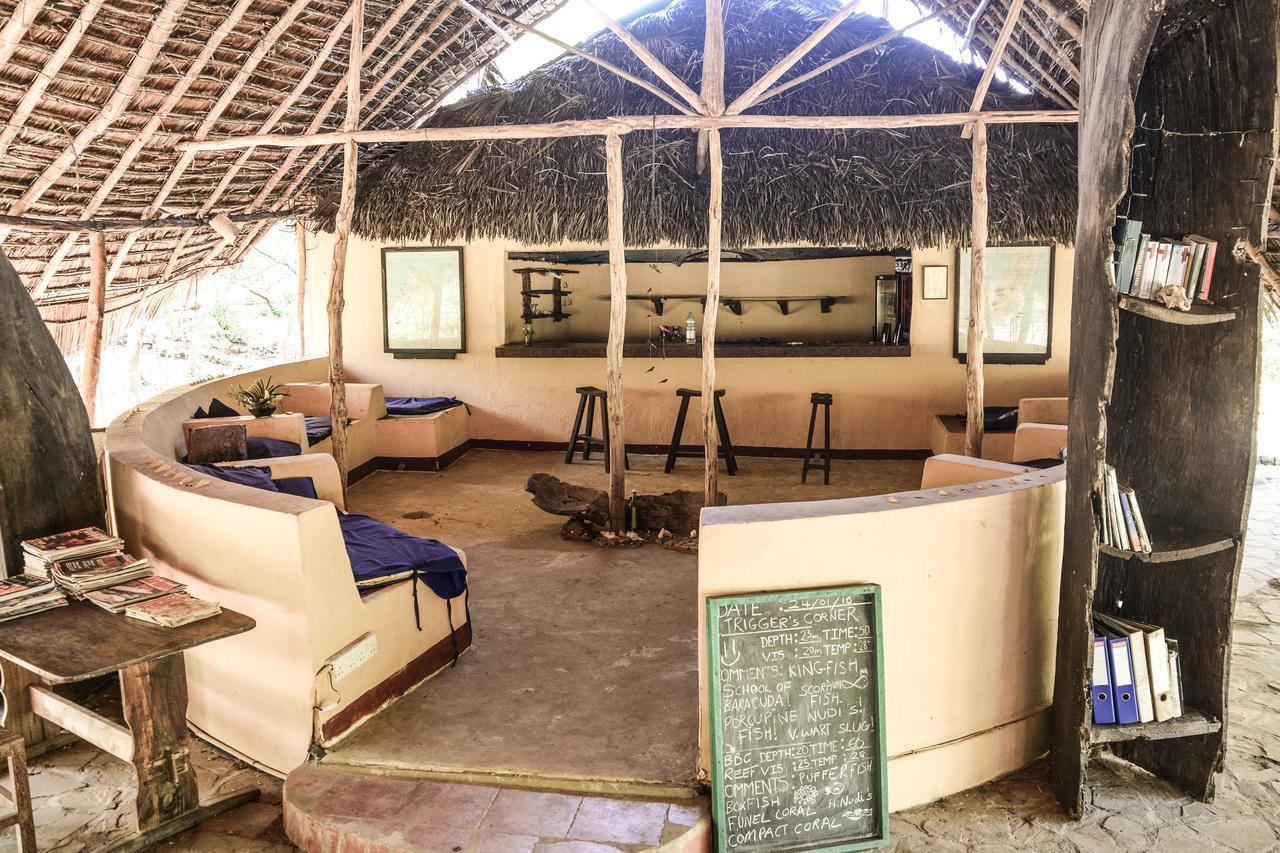 Gecko Nature Lodge Home Of Swahili Divers The Best Dive Center And Famous Gecko Restaurant Verani エクステリア 写真