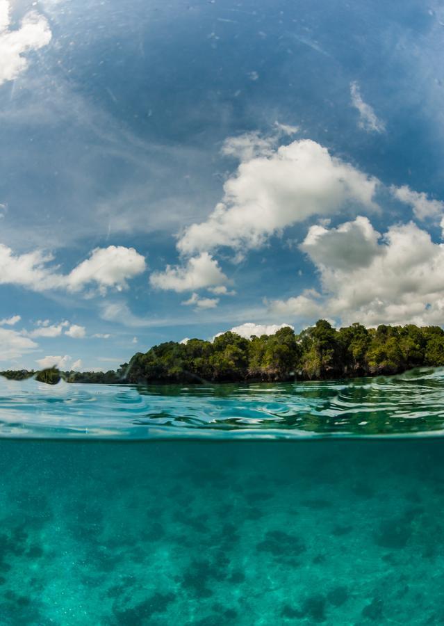 Gecko Nature Lodge Home Of Swahili Divers The Best Dive Center And Famous Gecko Restaurant Verani エクステリア 写真