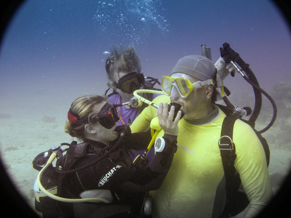 Gecko Nature Lodge Home Of Swahili Divers The Best Dive Center And Famous Gecko Restaurant Verani エクステリア 写真