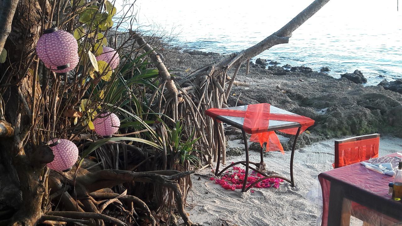Gecko Nature Lodge Home Of Swahili Divers The Best Dive Center And Famous Gecko Restaurant Verani エクステリア 写真