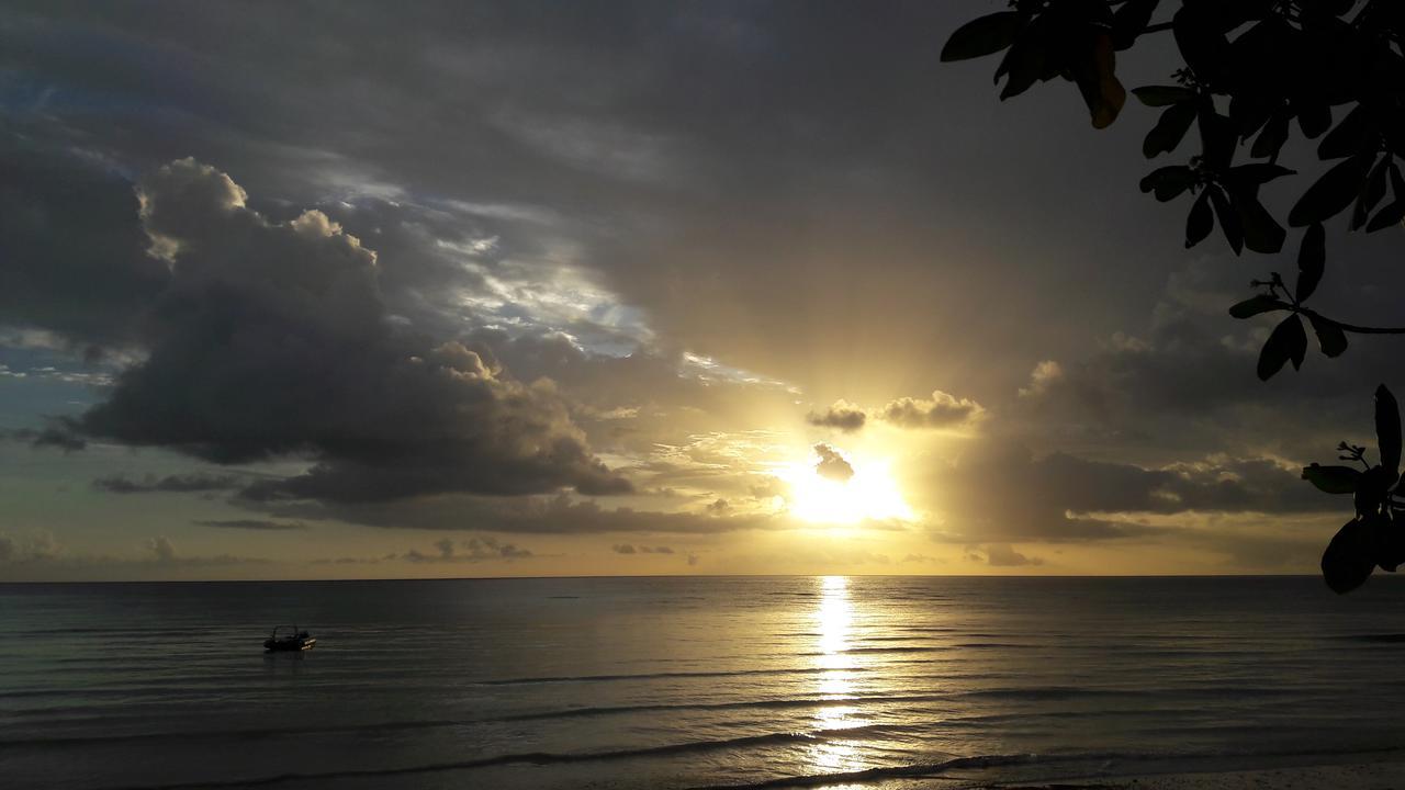 Gecko Nature Lodge Home Of Swahili Divers The Best Dive Center And Famous Gecko Restaurant Verani エクステリア 写真