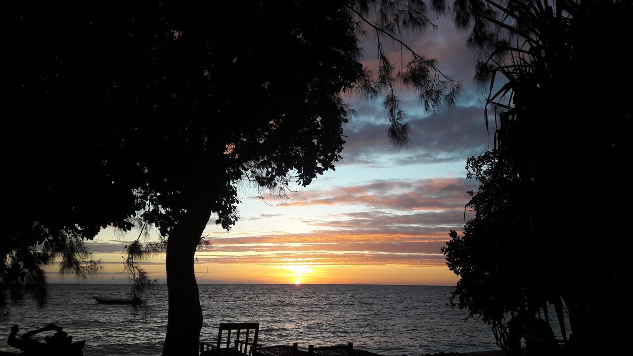 Gecko Nature Lodge Home Of Swahili Divers The Best Dive Center And Famous Gecko Restaurant Verani エクステリア 写真