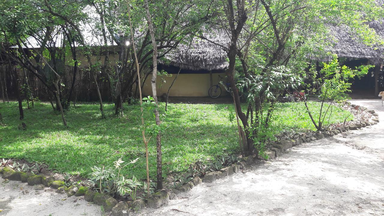 Gecko Nature Lodge Home Of Swahili Divers The Best Dive Center And Famous Gecko Restaurant Verani エクステリア 写真