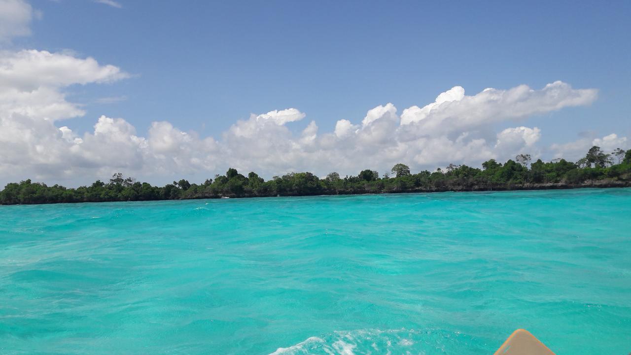 Gecko Nature Lodge Home Of Swahili Divers The Best Dive Center And Famous Gecko Restaurant Verani エクステリア 写真